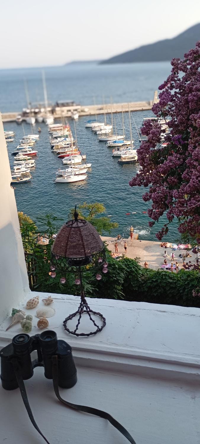 Old stone house best position in heart of town by the sea Apartment in Montenegro