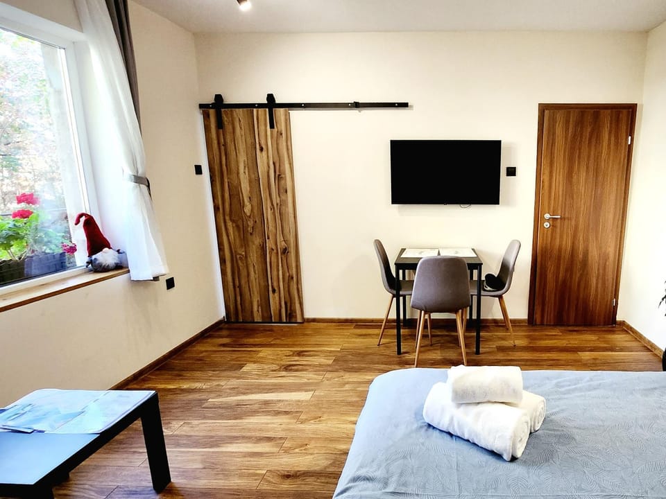 Malavi TN1 top center studio Ruse Apartment in Ruse