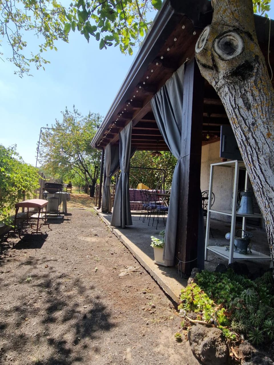 Property building, Garden view