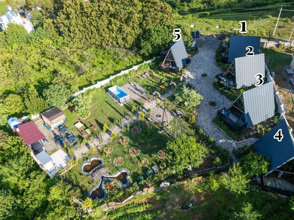 Property building, Garden view