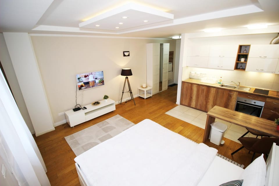 Bed, TV and multimedia, Kitchen or kitchenette, Photo of the whole room, Seating area, Dining area, Bedroom
