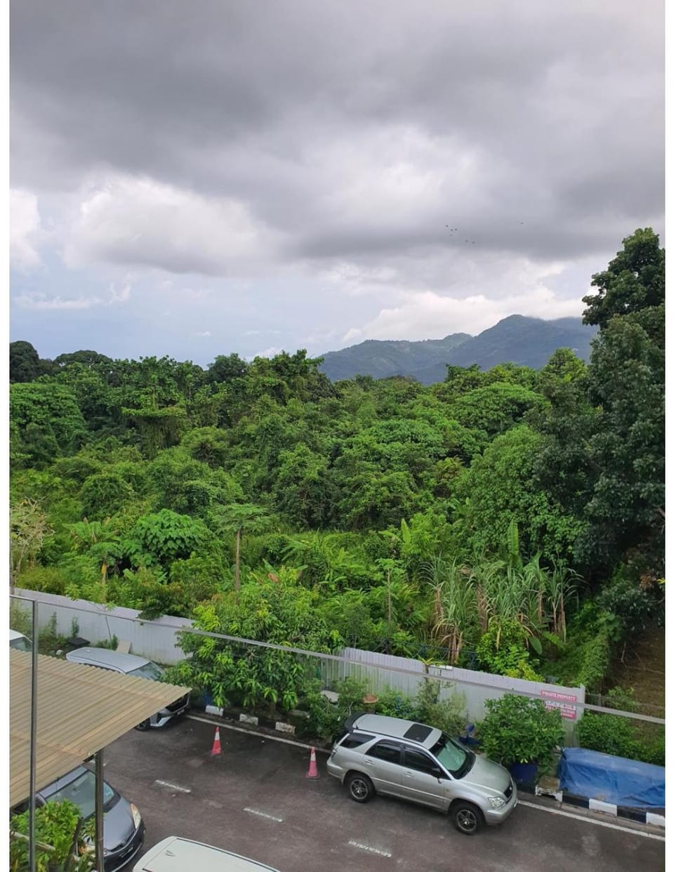 Homestay Pohon Rendang House in Bayan Lepas