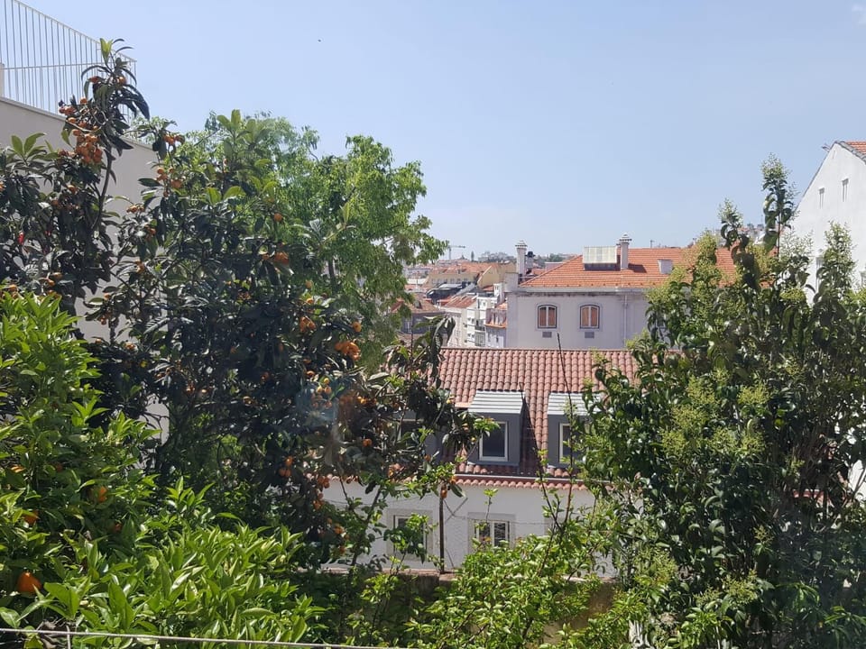 View (from property/room)