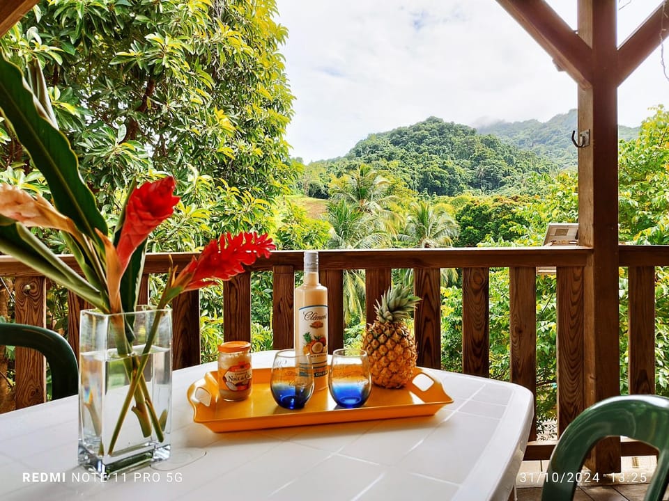 Le petit K'banon House in Martinique