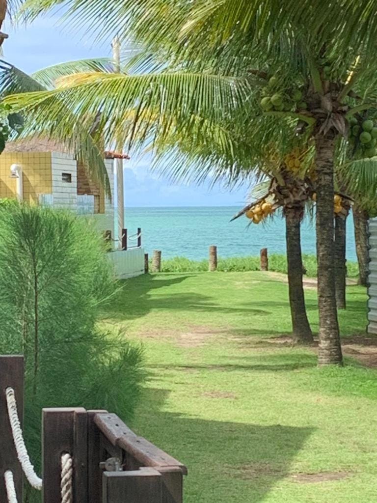 Day, Natural landscape, Garden, Beach, Garden view, Sea view