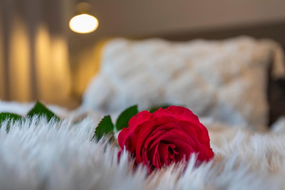 Vasko luxurious suites, Soilu Apartment in Rovaniemi