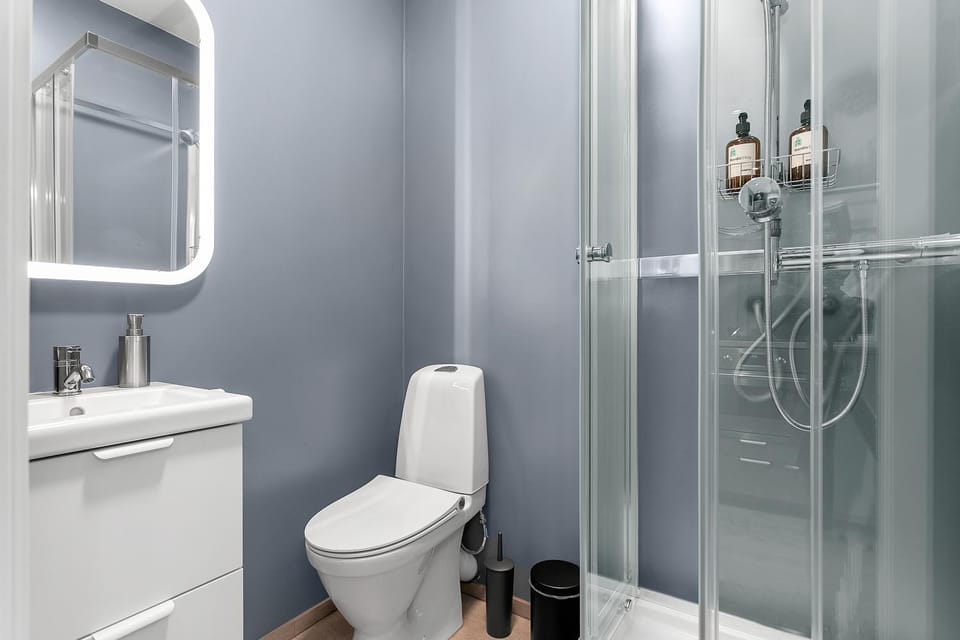 Shower, Toilet
