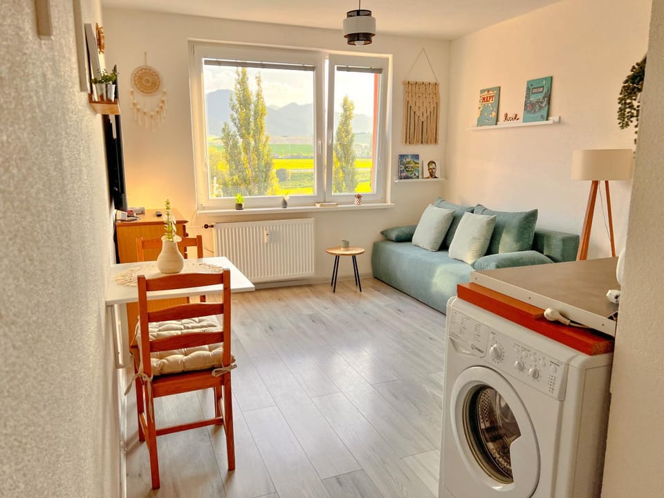 Kitchen or kitchenette, Living room, Seating area, Dining area, washing machine