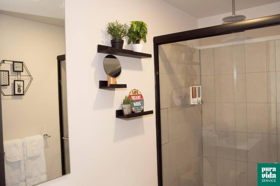 Alice in Secrtland Sabana near to airport king bed Apartment in San Jose