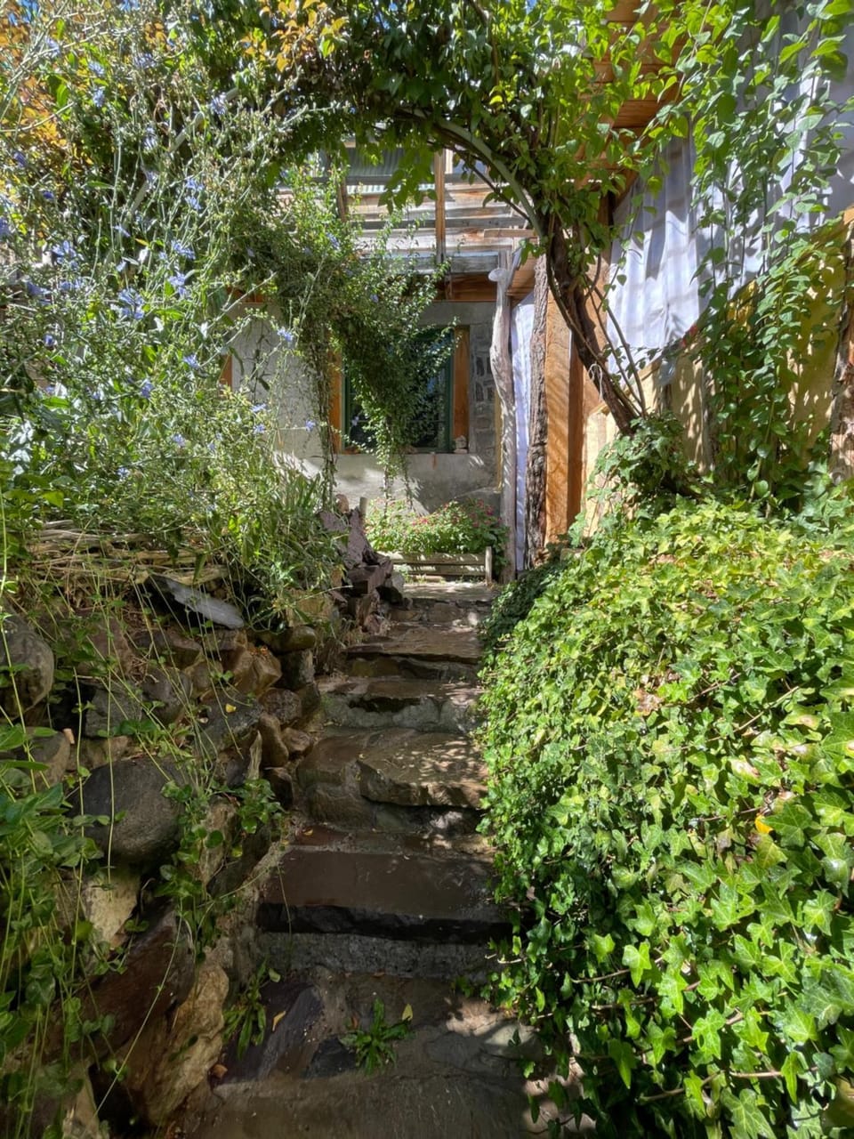 Patio, Natural landscape, Inner courtyard view