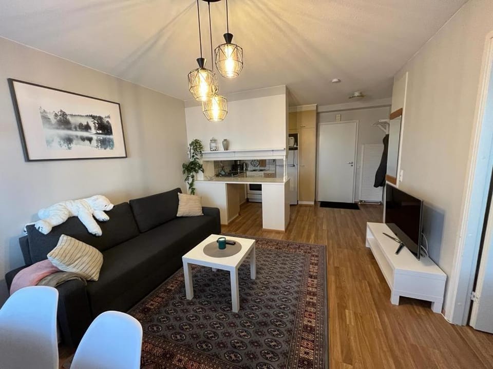 APt 37 Apartment in Rovaniemi