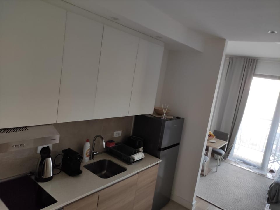 Verde Comfortable Apartment Apartment in Belgrade