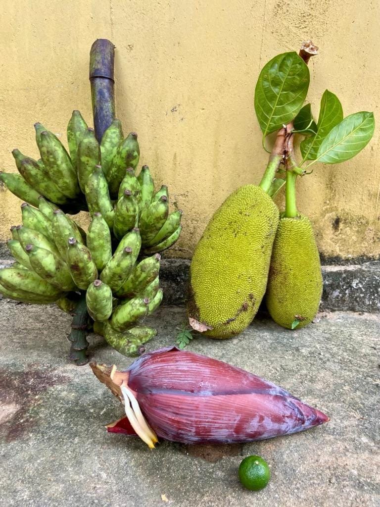 Garden, Food
