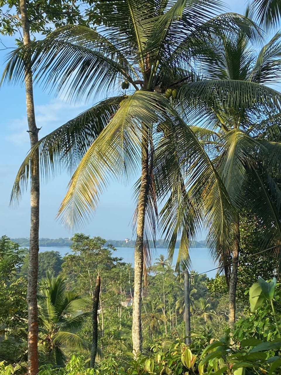 Hello Homestay Vacation rental in Ahangama