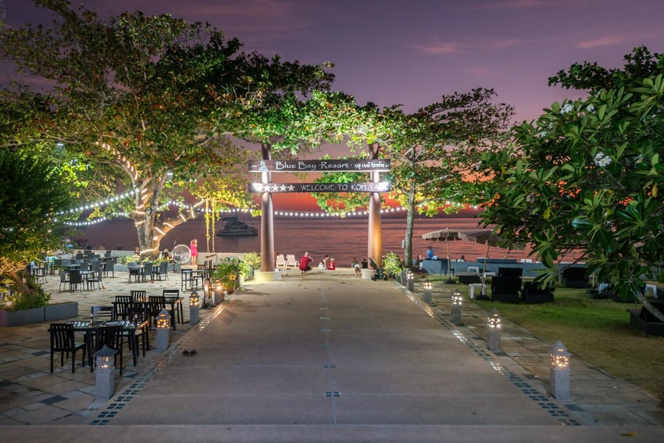 Night, Garden