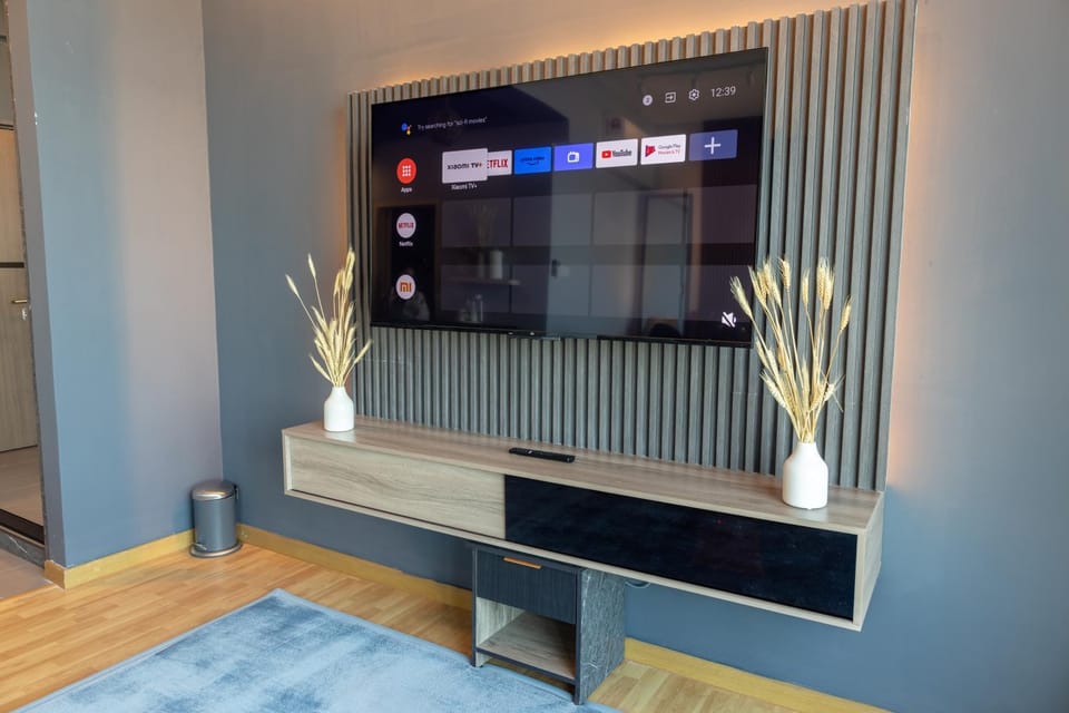 TV and multimedia