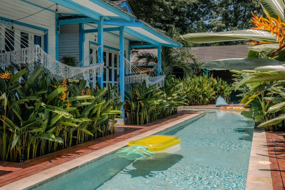 Garden, Pool view, Swimming pool, sunbed