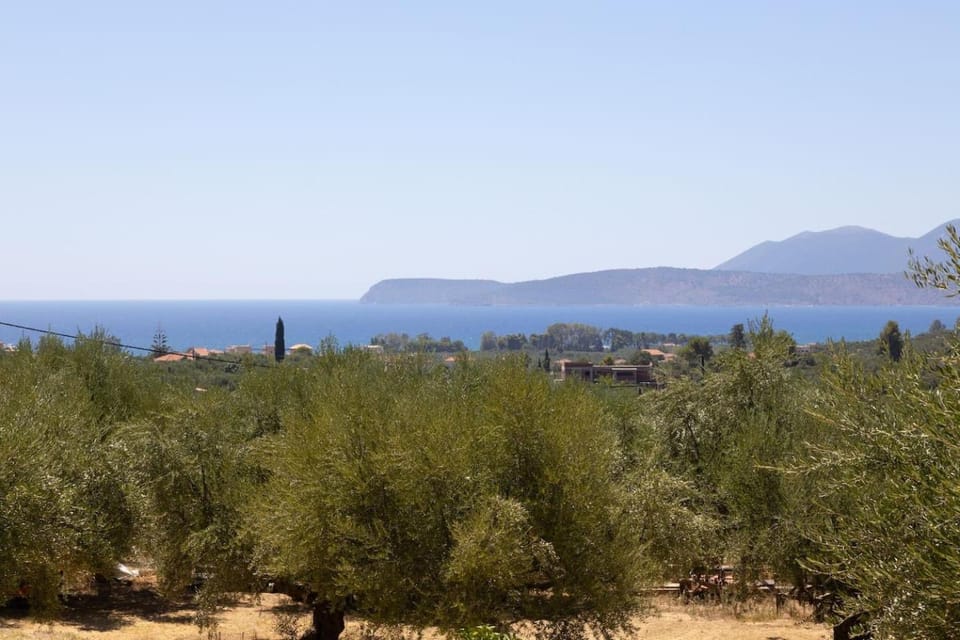 Enada Suite & Olive Farm Country House in Peloponnese Region