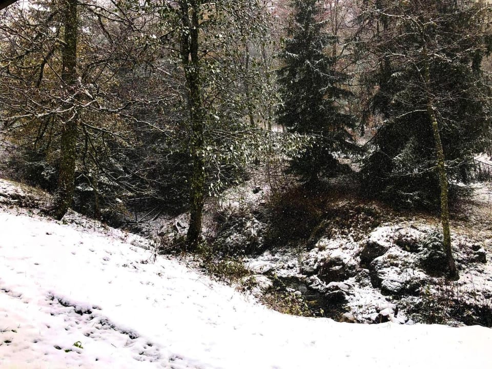 Résidence Sapiniere - La Sapinière 16 - Très joli 2 pièces au cœur de la nature MAE-1724 Apartment in Les Avanchers-Valmorel