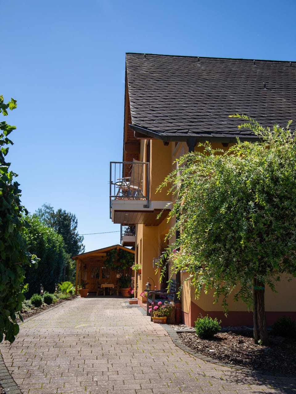 Property building, Day, Garden