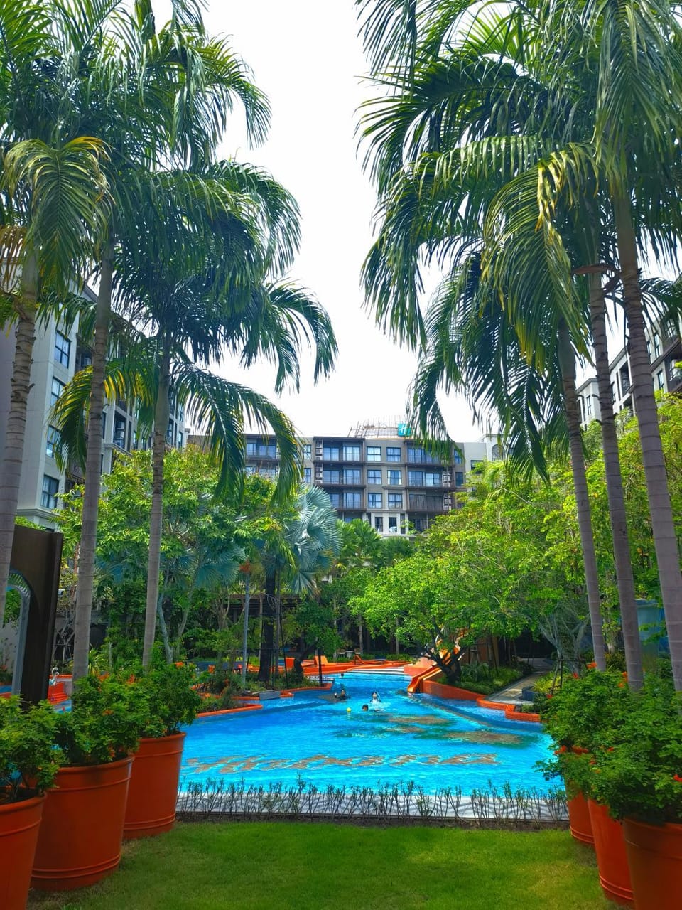 Garden view