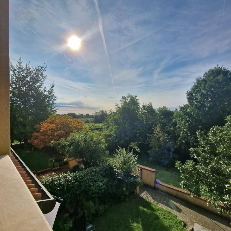 Day, Natural landscape, Garden, Garden view