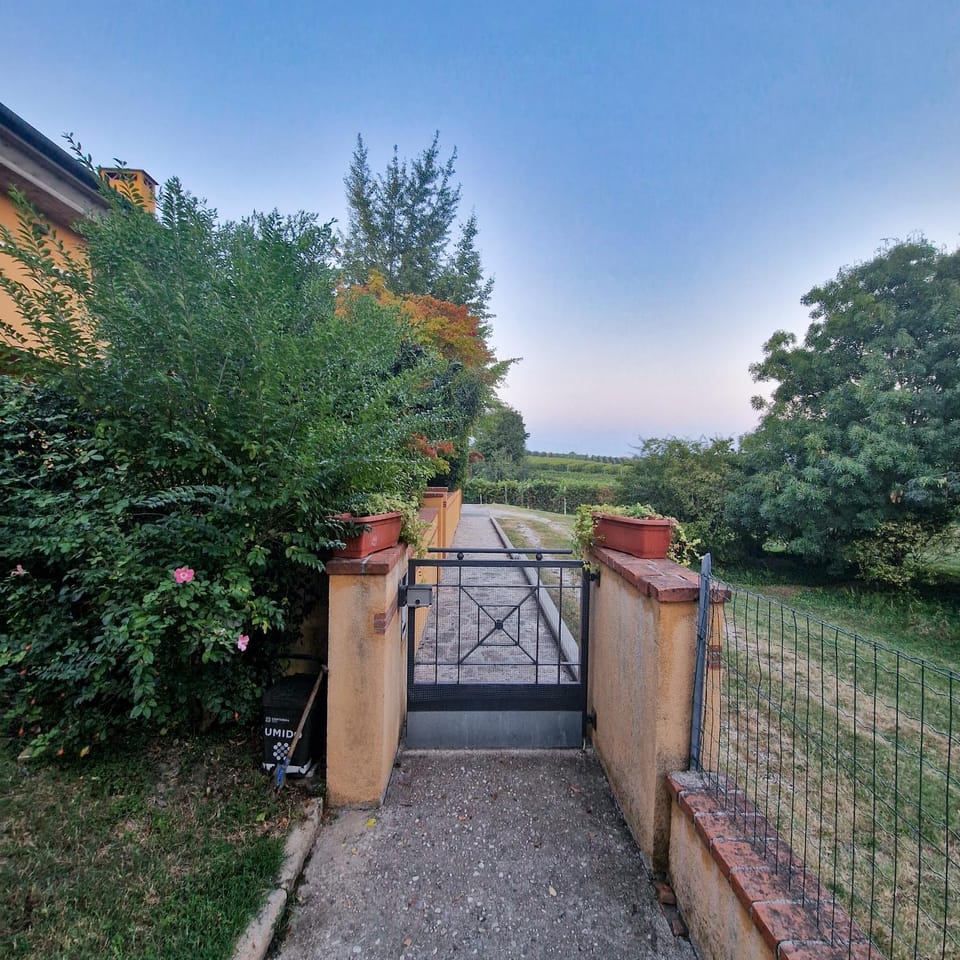 Day, Garden, Garden view