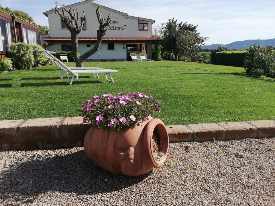 Garden, Garden view