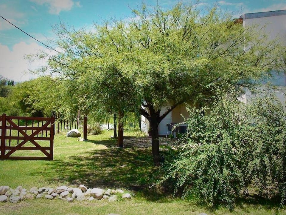 Patio, Garden, Lobby or reception