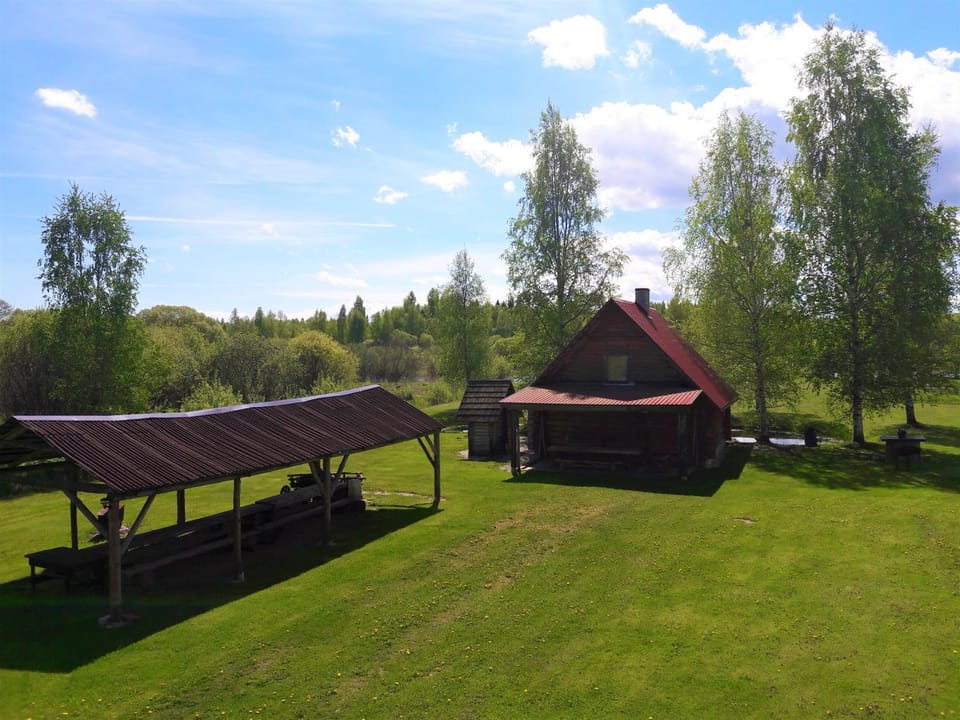 Patio, Summer, Garden, Area and facilities