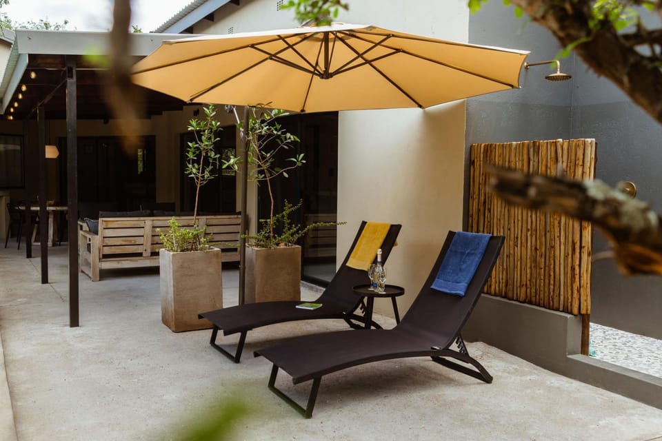 Patio, sunbed