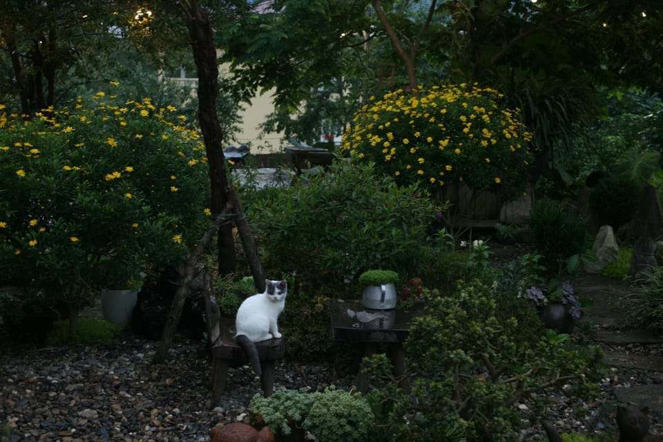 Restaurant/places to eat, Garden