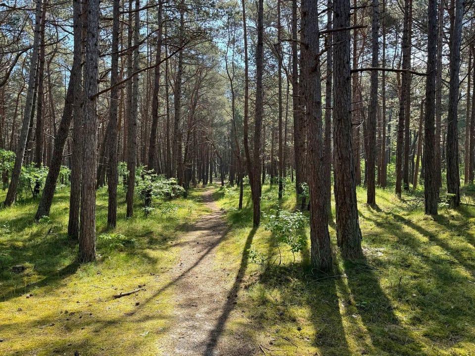 Day, Natural landscape