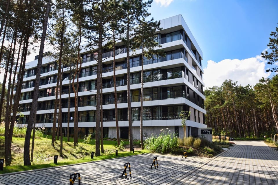 Property building, Day