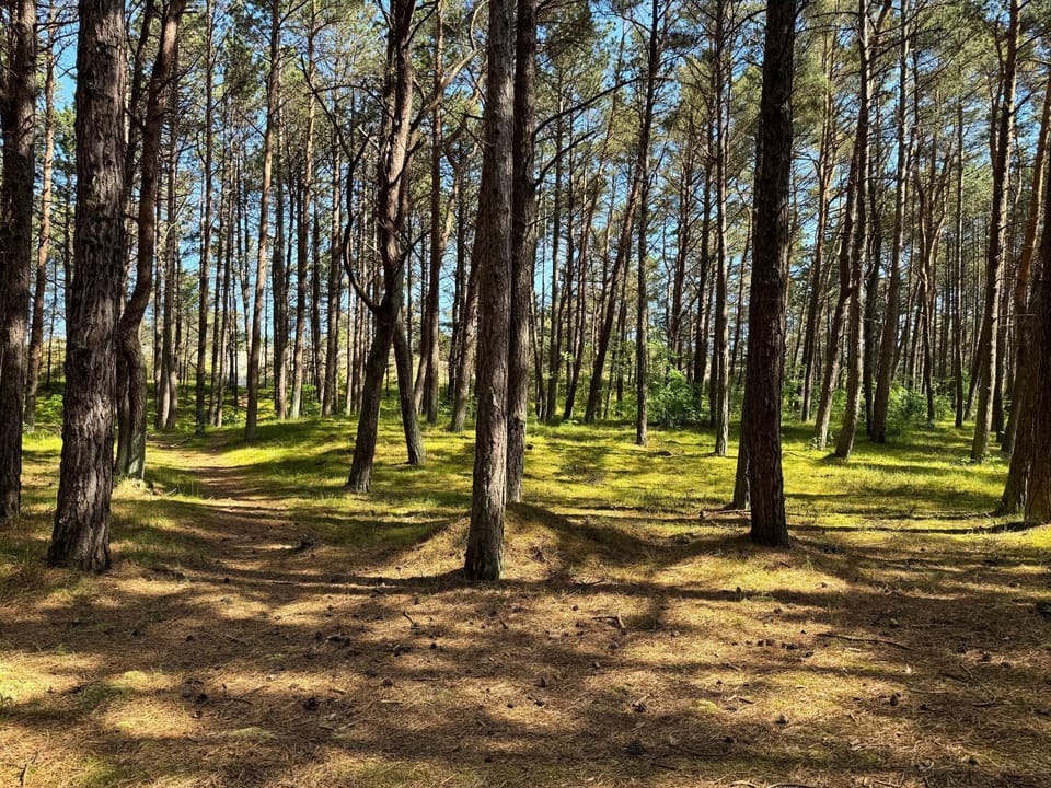 Day, Natural landscape