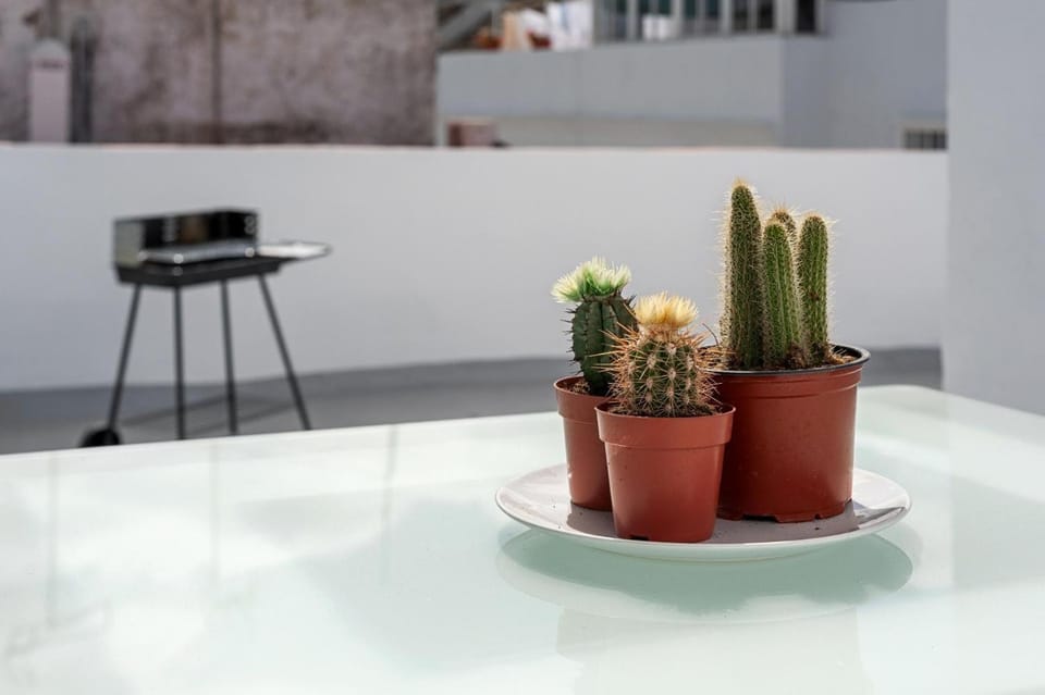 Casa Carmen - Céntrico Apartamento con Terraza Privada Apartment in Vejer de la Frontera