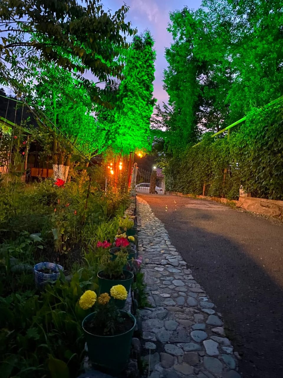 Nina B&B Bed and Breakfast in Armenia