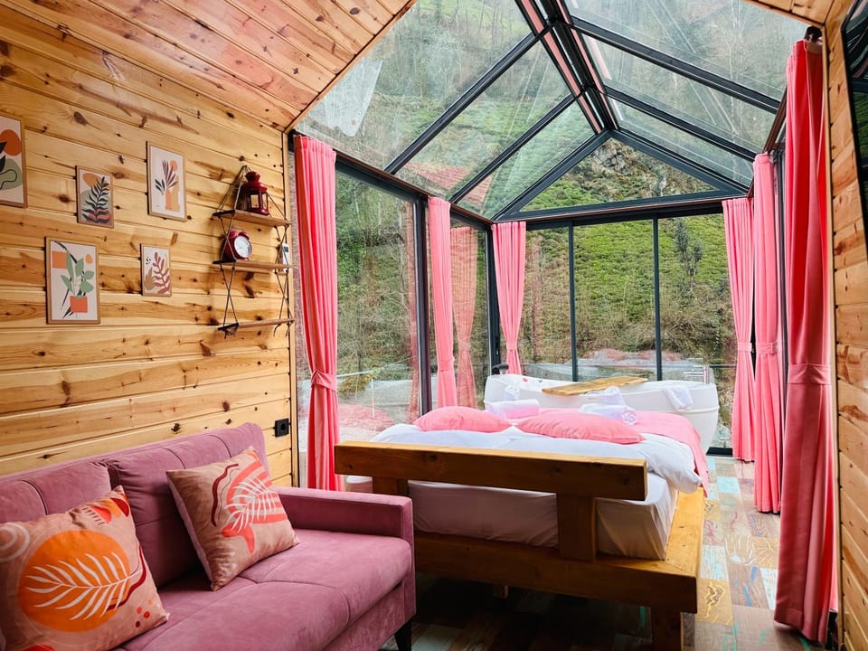 Garden, Living room, Seating area