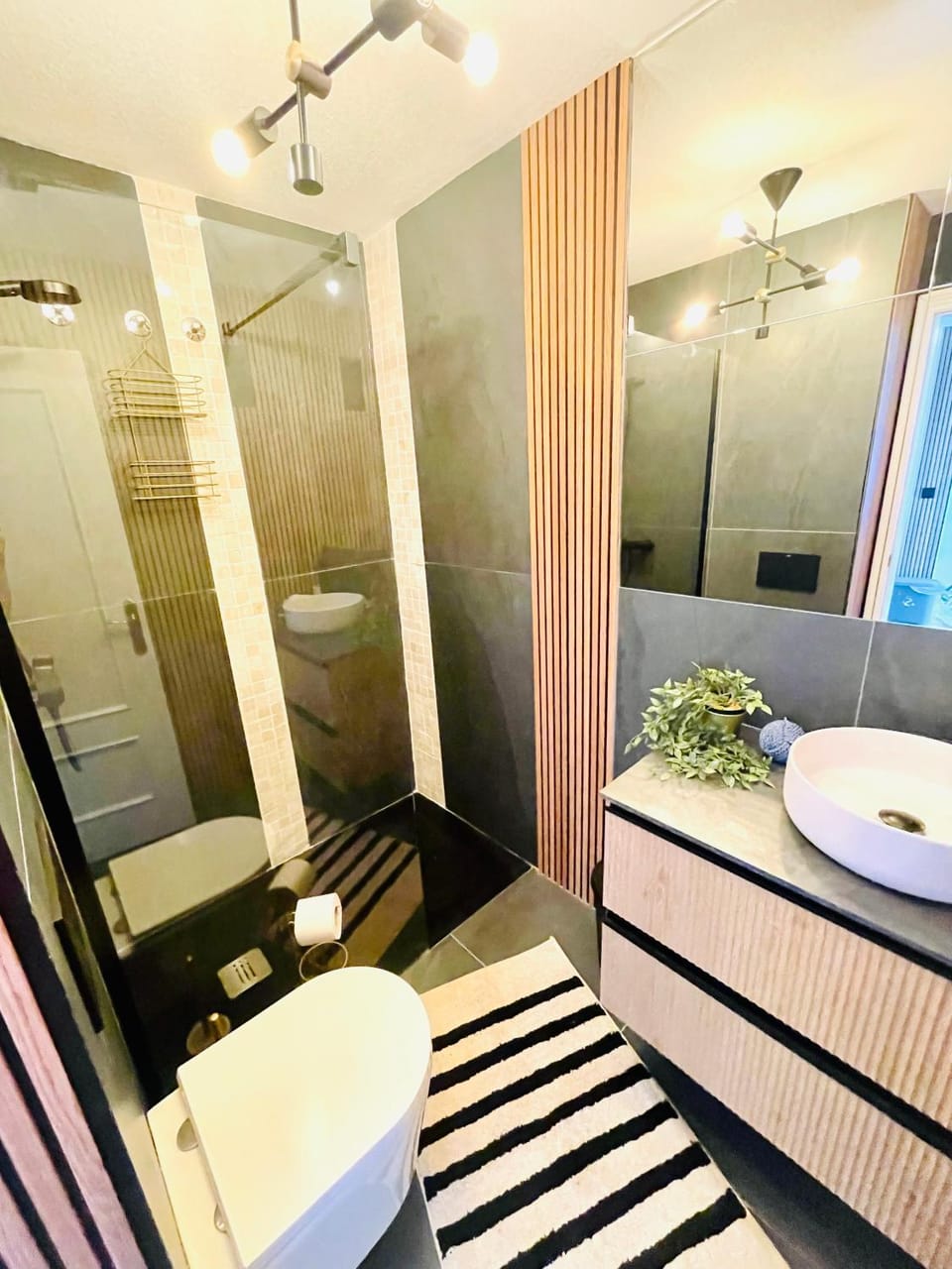 Shower, Toilet, Bathroom