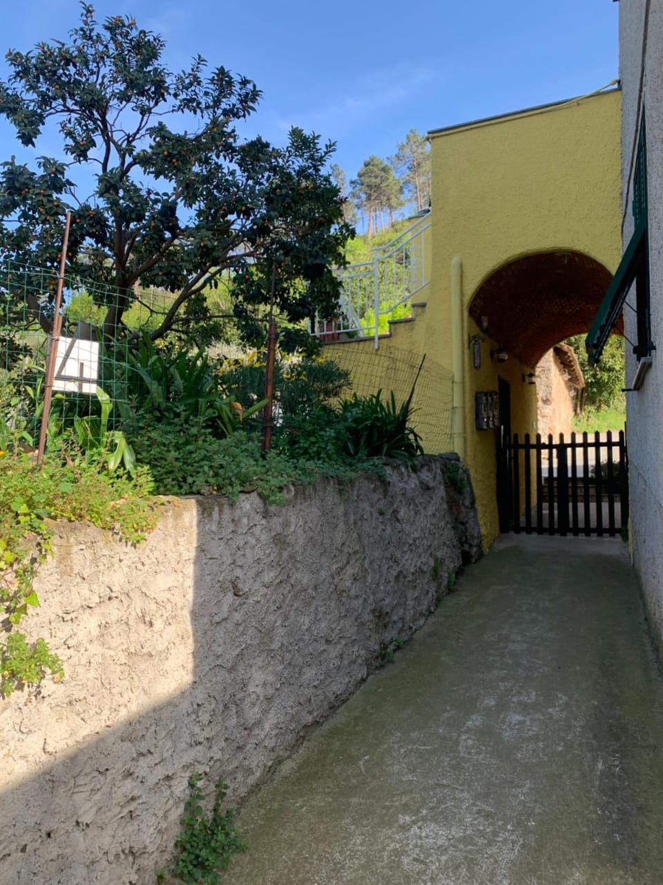 Property building, Garden view