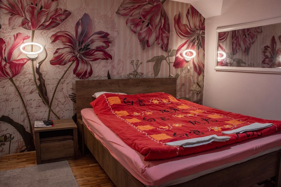 Babiko DTM 037 Bed and Breakfast in Serbia