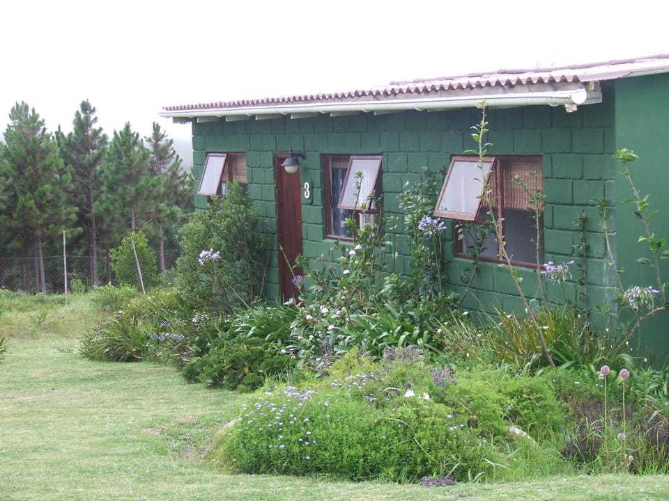 Property building, Day, Natural landscape, Garden view