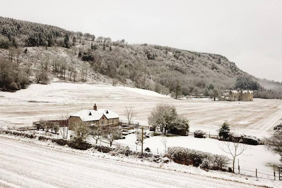 Natural landscape, Winter