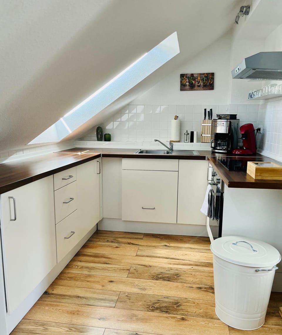 Kitchen or kitchenette, kitchen