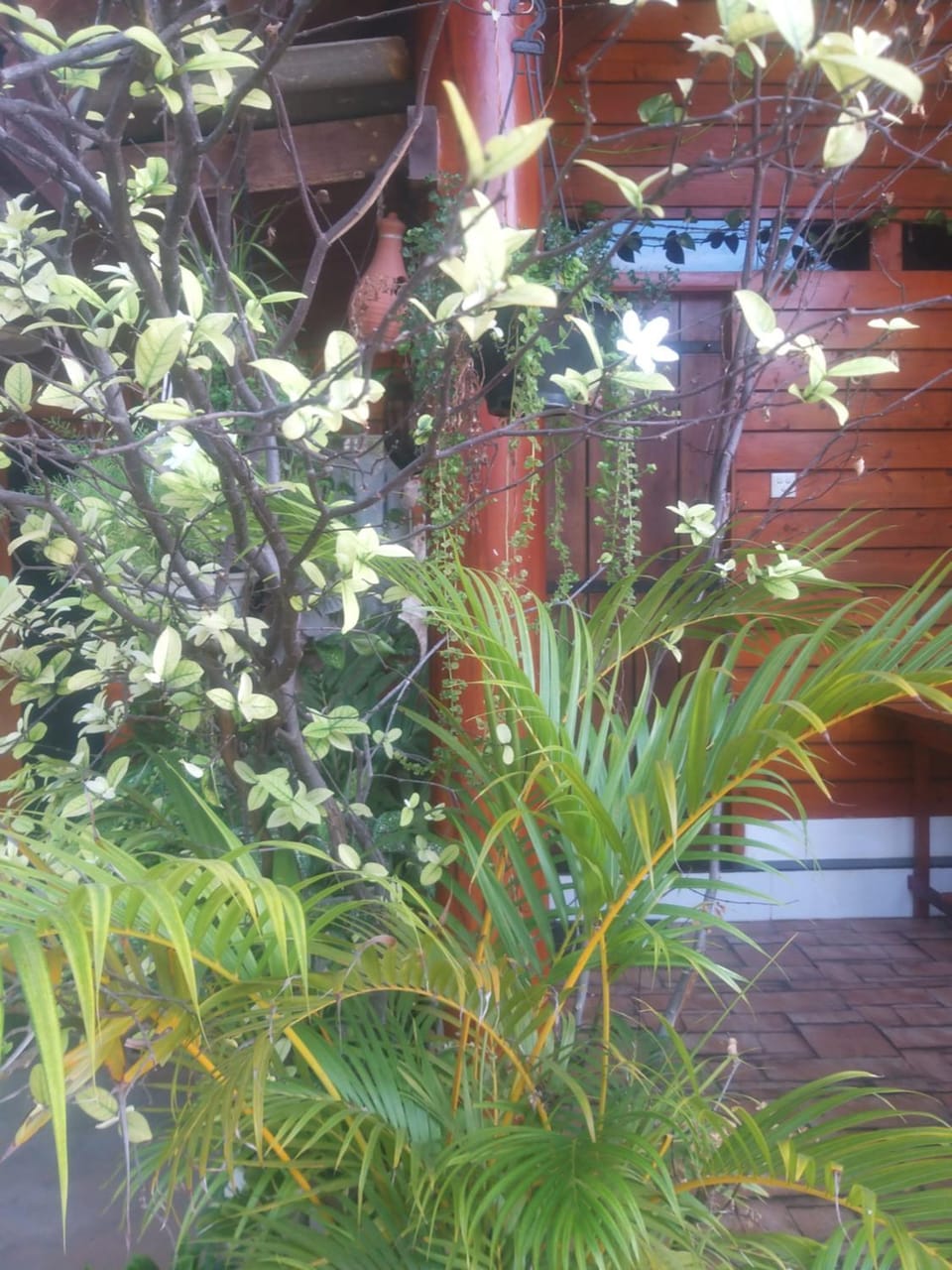 Garden, Garden view