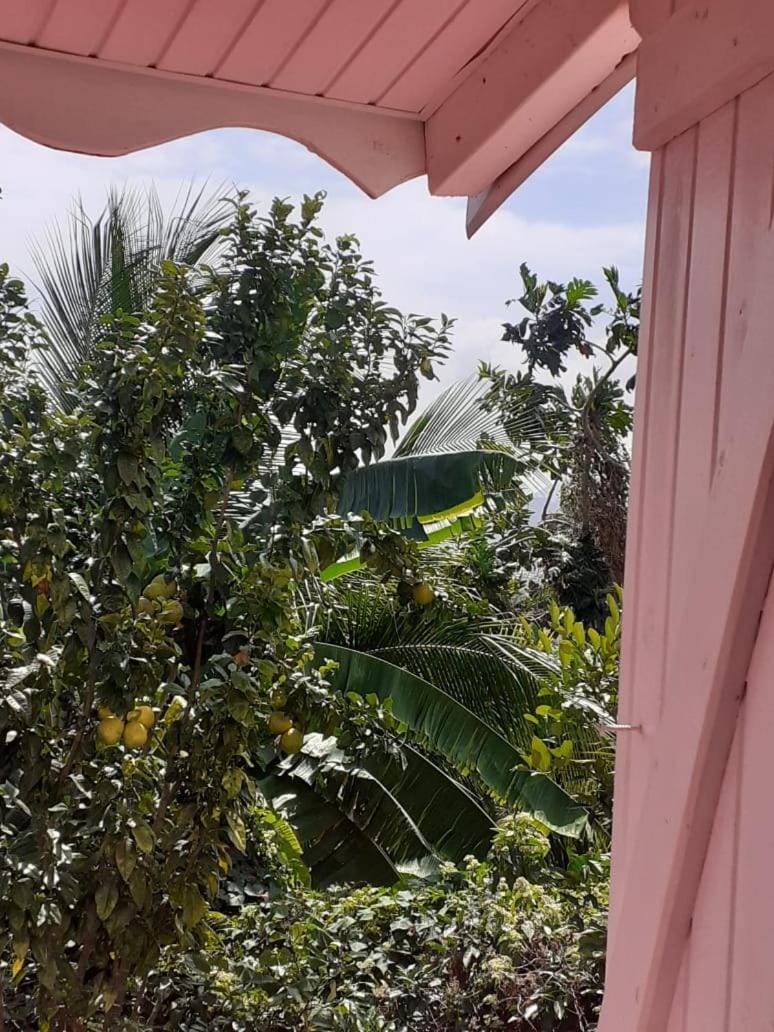 Villahaut Villa in Martinique
