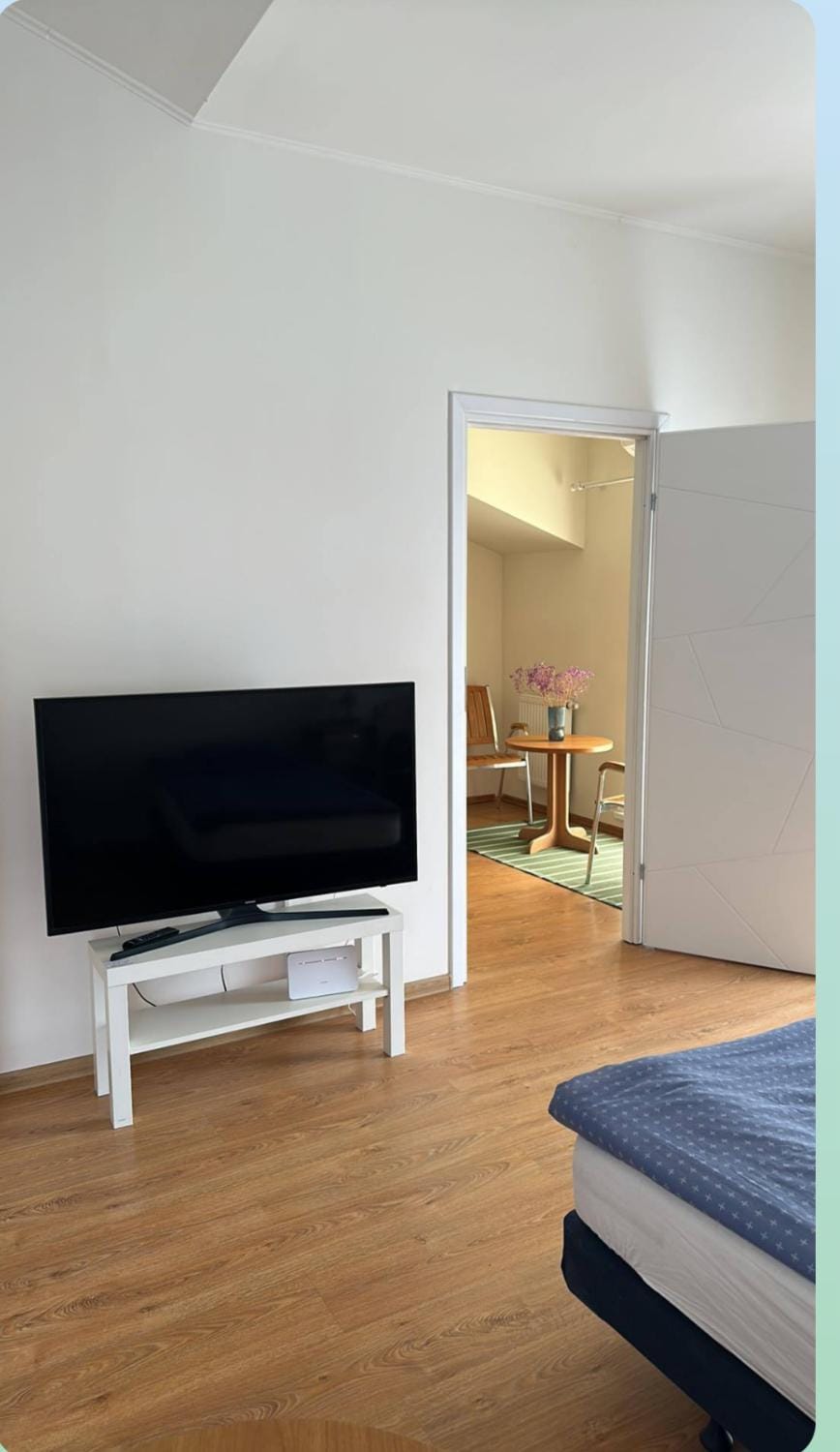 Centro apartamentai Apartment in Lithuania