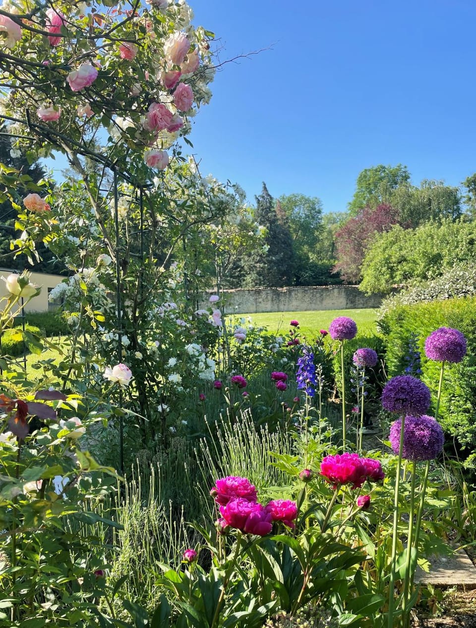 Garden view