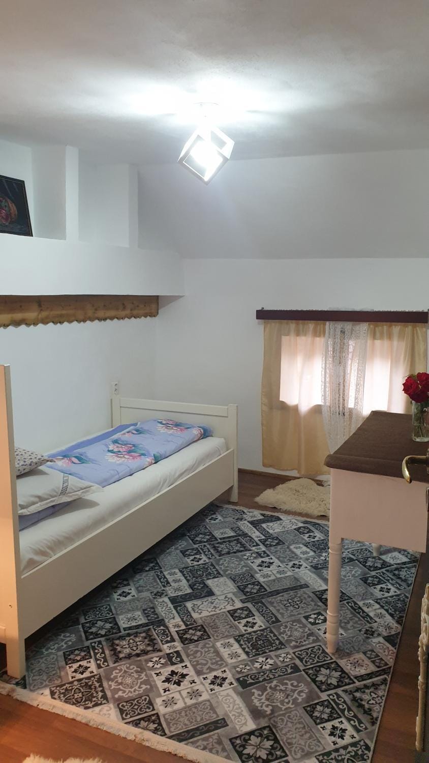 Facilitati cazare Raluca Bed and Breakfast in Brașov County