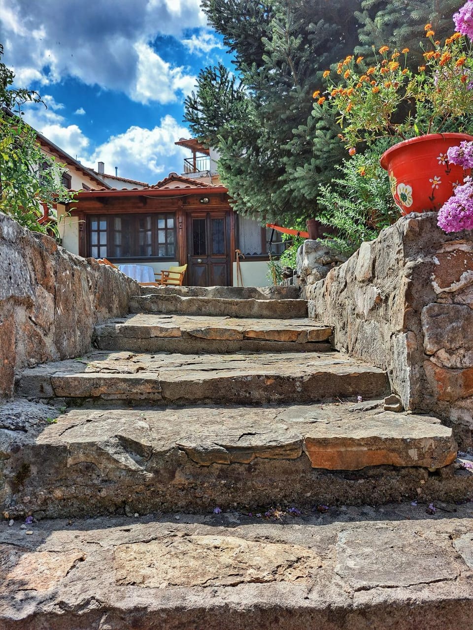 Garden view